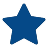 Star Icon